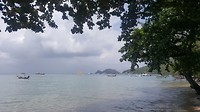 Koh Tao