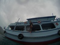 Walt die het water inspringt