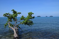 Rondrijden op Koh Chang
