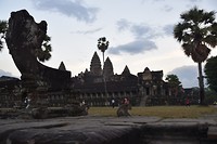 Aapjes bij Angkor Wat