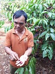 Rondleiding door de koffieplantage