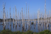 Thakhek loop