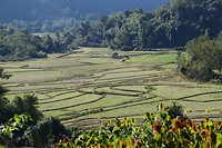 Muang Ngoi..
