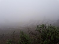 Mistig