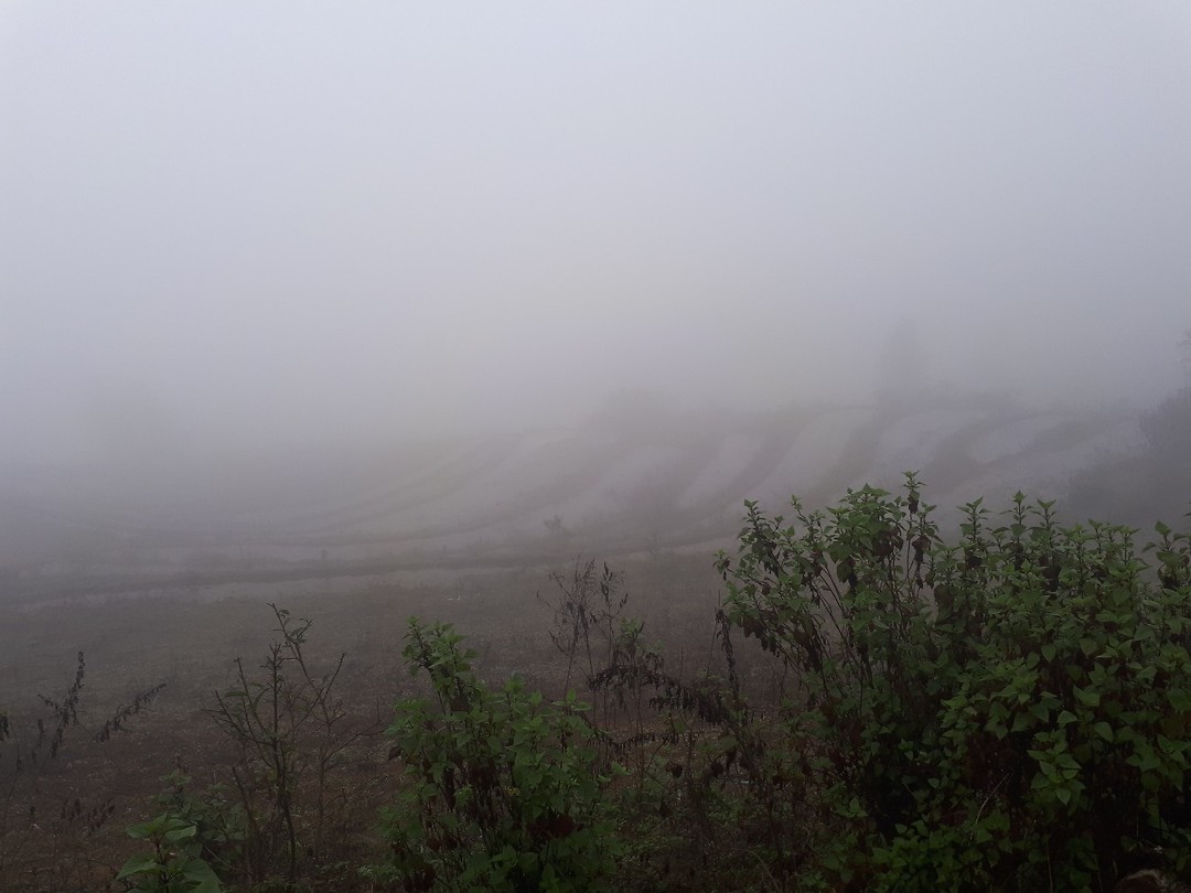 Mistig