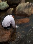 Lekker kippetje in de rivier wassen...