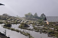 Uitzicht vanuit ons verblijf