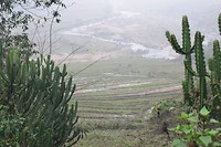 Sapa