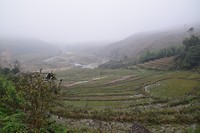 Sapa
