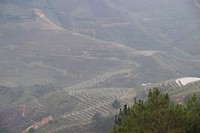 Ha Giang