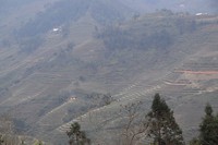 Ha Giang