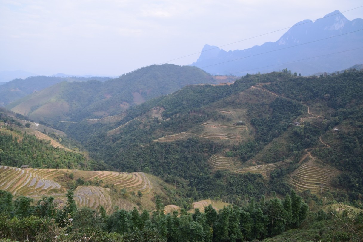 Ha Giang
