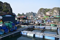 Fish farm