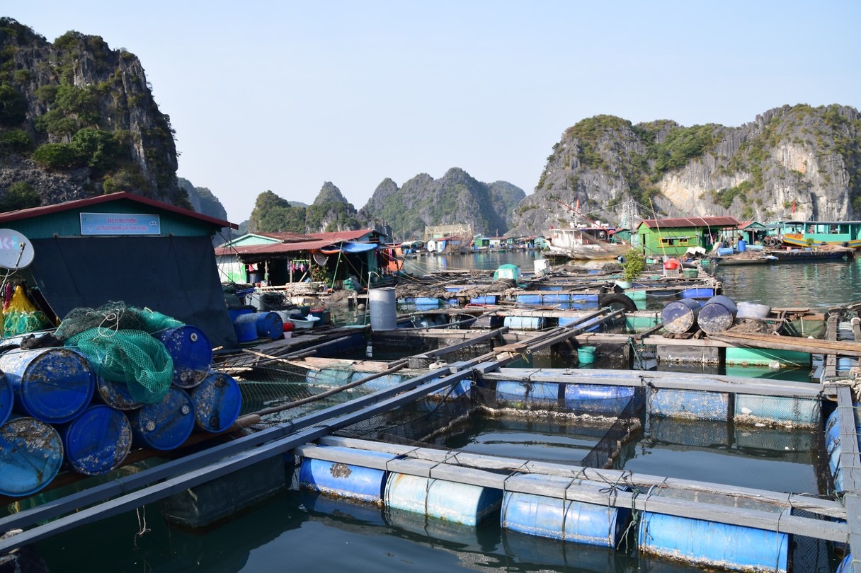 Fish farm