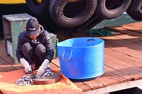 Fish farm