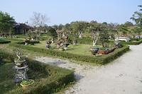 The Imperial city