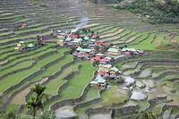 Batad