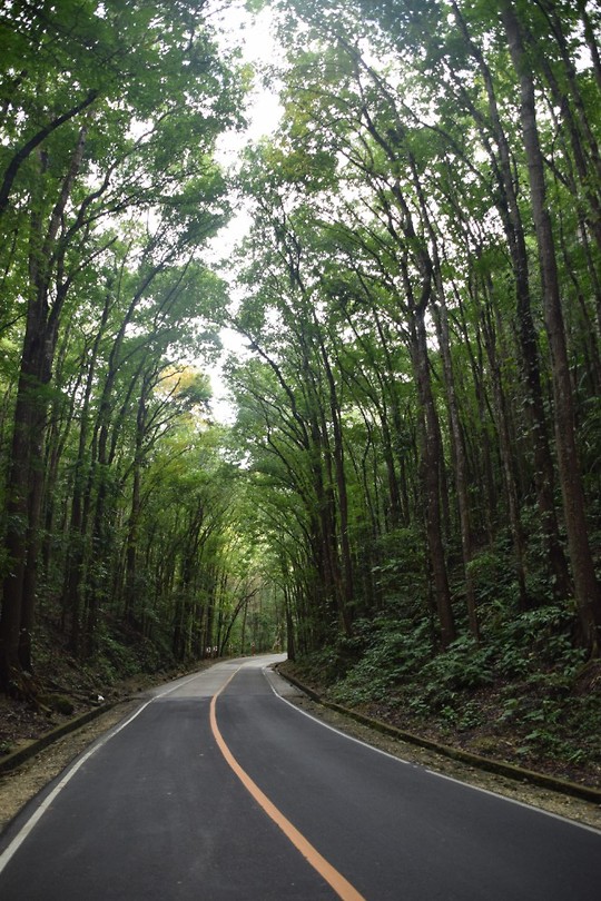 Bohol