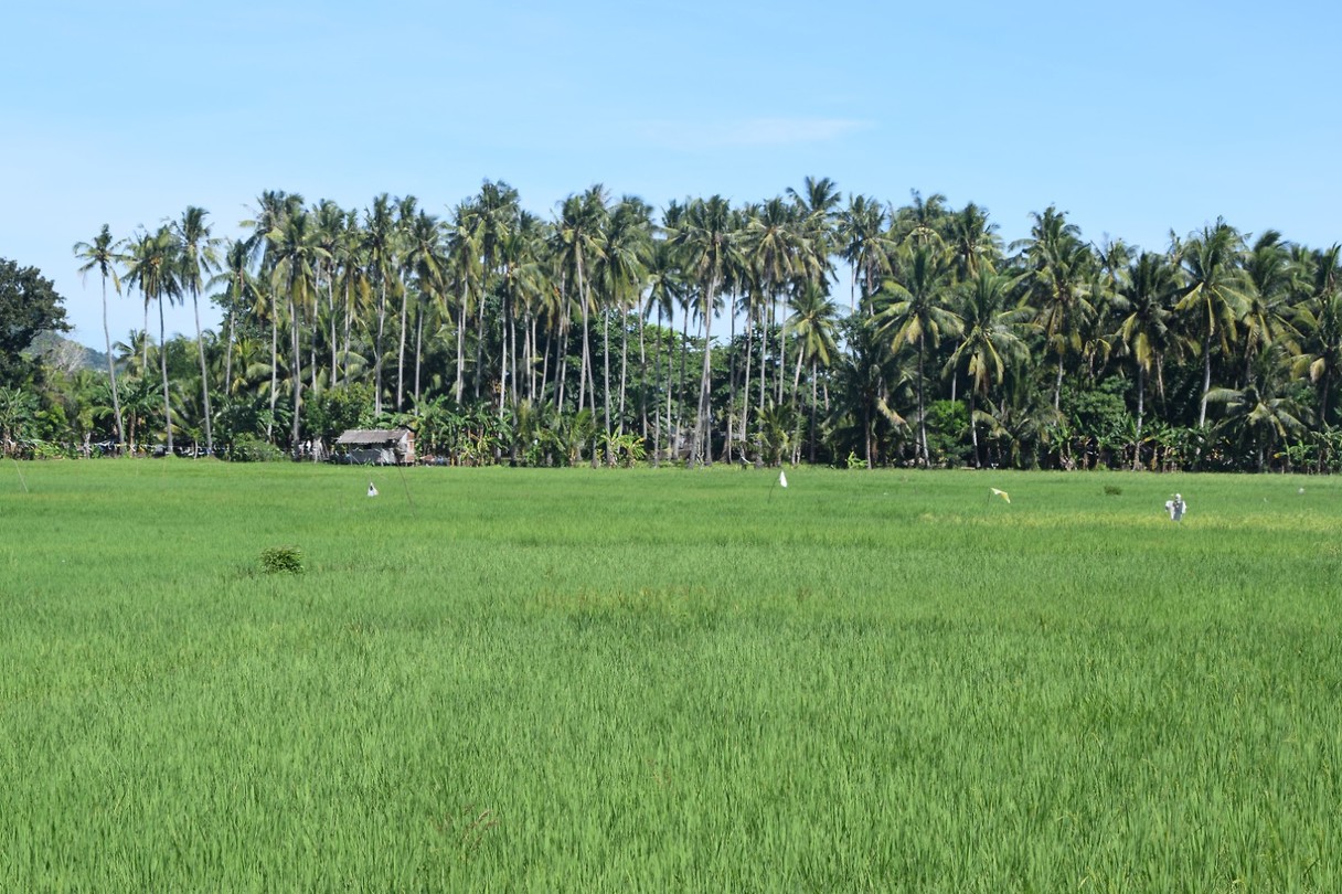 Siquijor