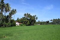Siquijor