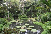 Botanische tuinen