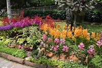 Botanische tuinen