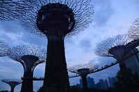 Gardens by the bay