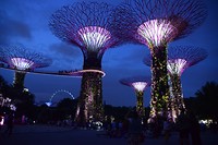 Gardens by the bay