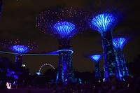 Gardens by the bay