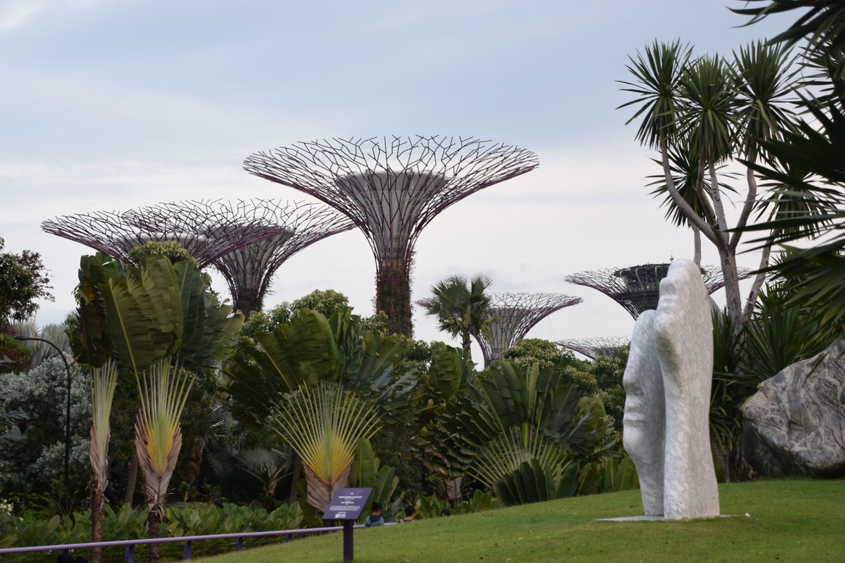 Gardens by the bay