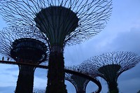 Gardens by the bay