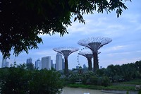 Gardens by the bay