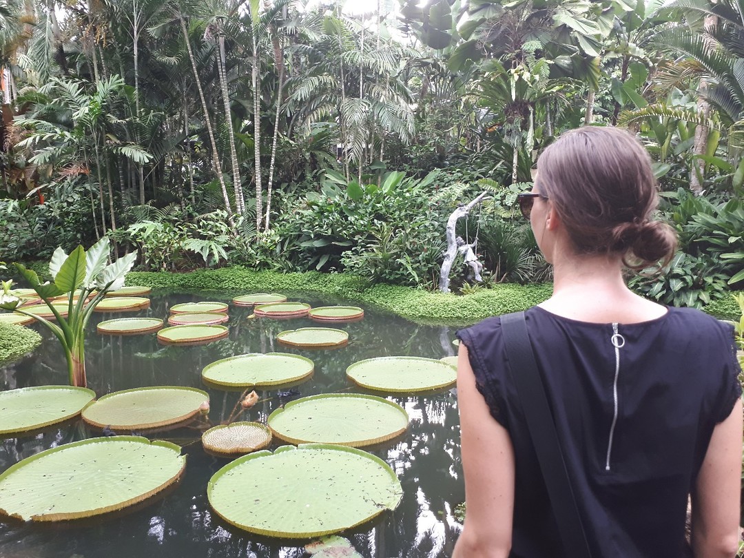 Botanische tuinen