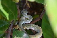 Bako National Park