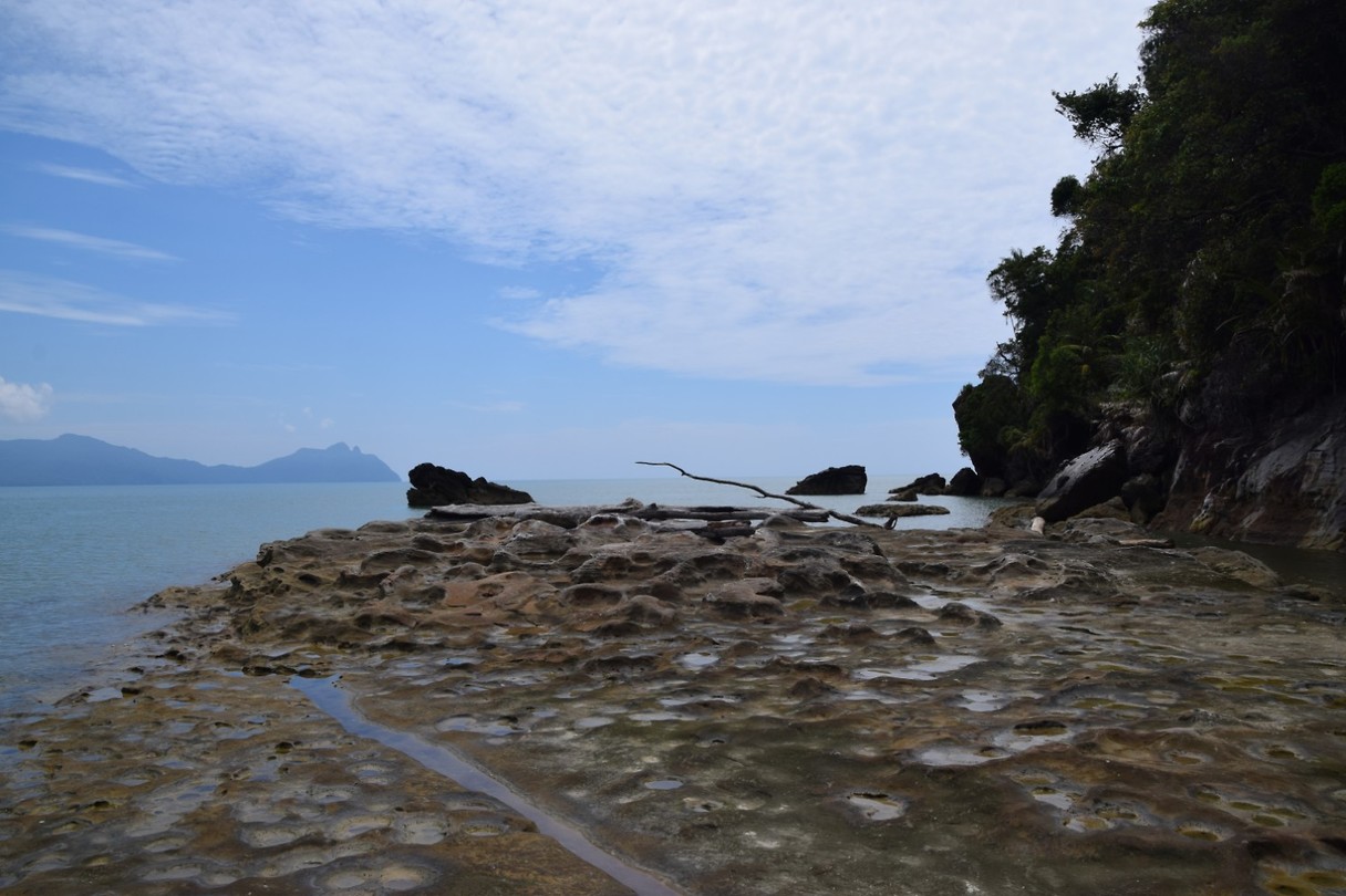 Bako National Park