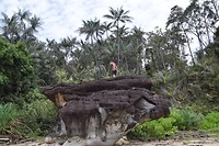 Bako National Park