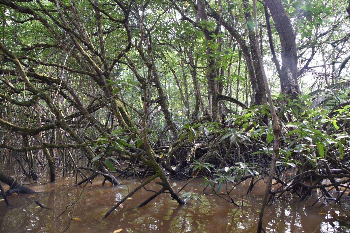 Brunei