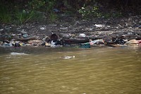 Krokodil