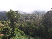 Kinabalu National Park