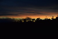 Kinabalu National Park