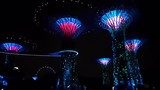 Gardens by the bay light show