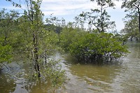 Bako National Park