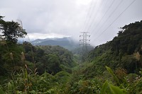 Cameron Highlands - dag 1