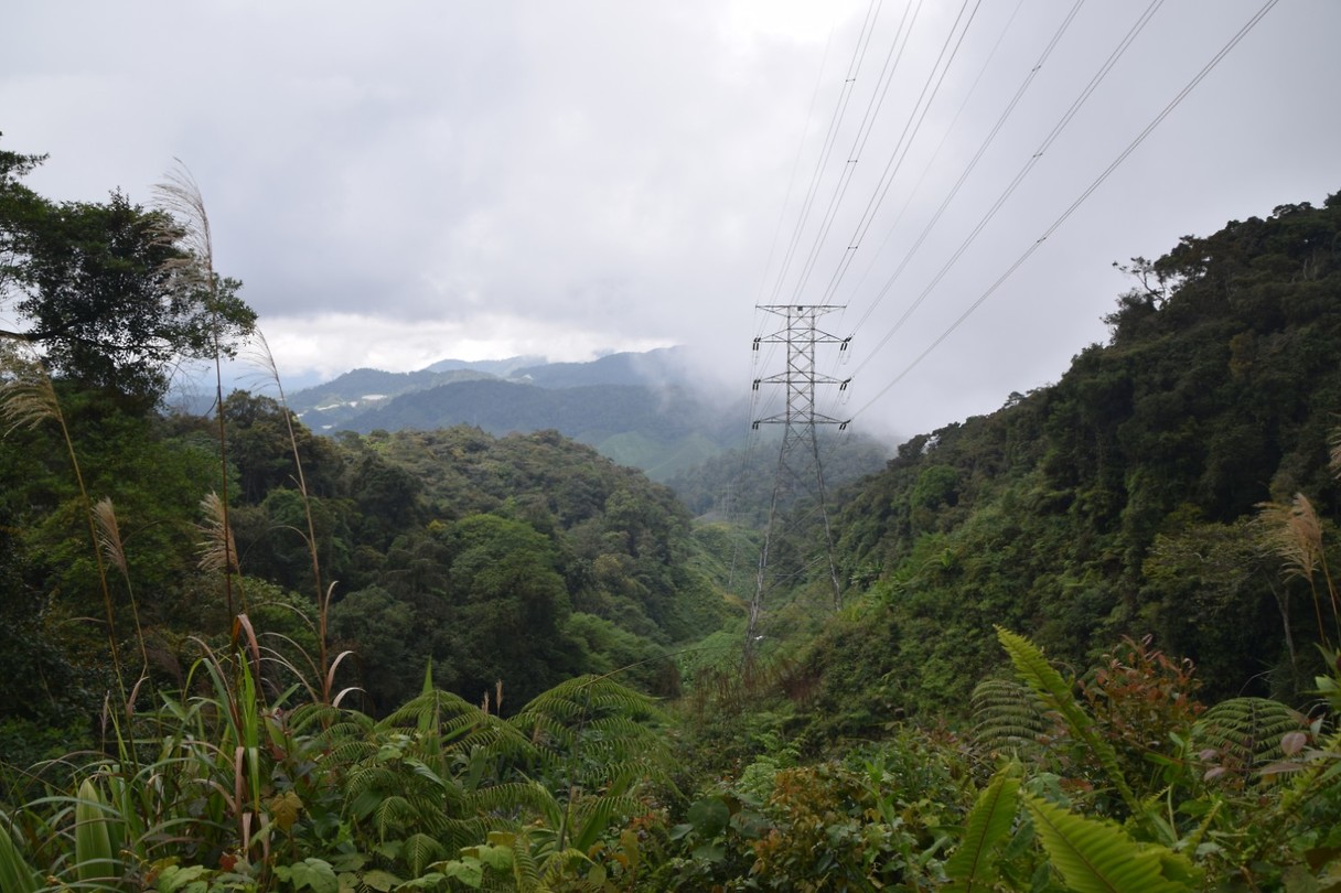 Cameron Highlands - dag 1