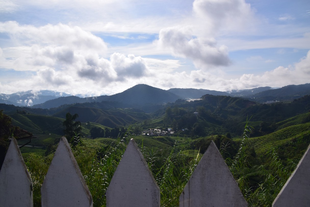 Cameron Highlands - dag 2