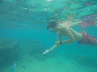Snorkelen
