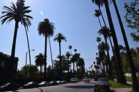 Beverly Hills