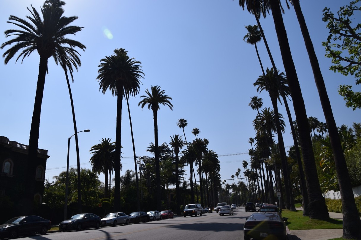 Beverly Hills