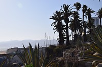 Santa Monica beach