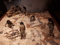 Antropologie museum